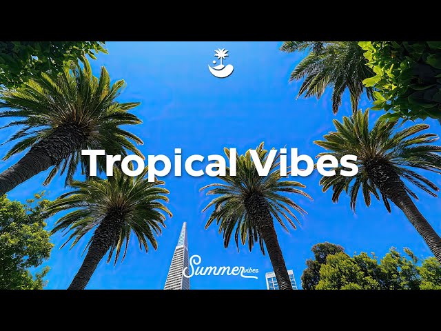 Watch Tropical Vibes 🌴 Summer Mix | Chill House on YouTube Watch Tropical Vibes 🌴 Summer Mix | Chill House on YouTube