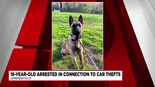 16-year-old arrested in connection to car thefts in Springfield