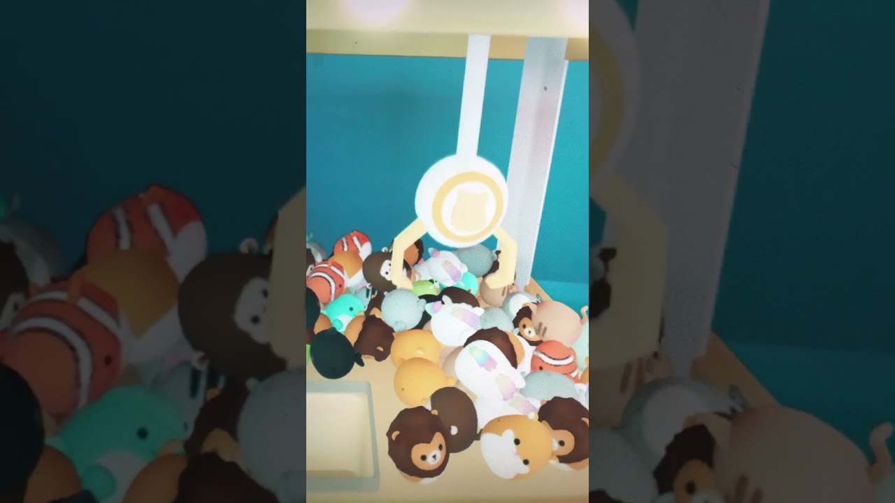 Getting another Squishmallows 