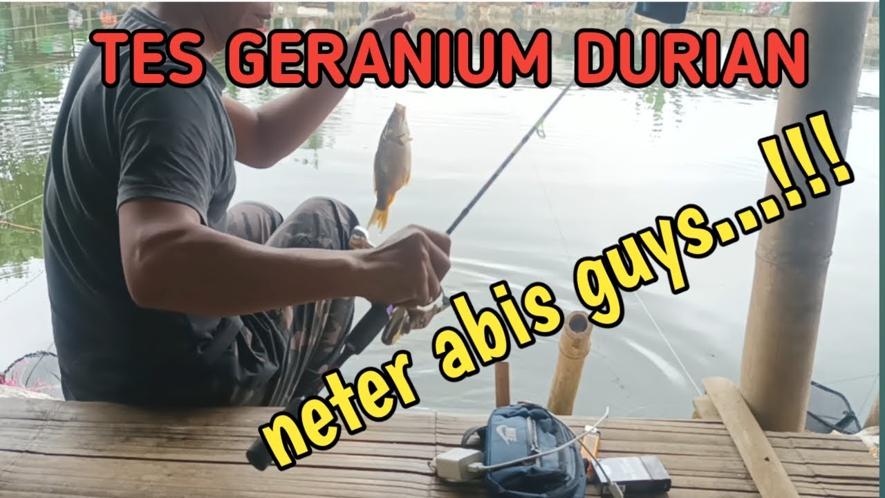 Mantap..!! Essen ini gacor abis #mancingharianikanmas