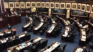 FL House votes to crack down on violent protests