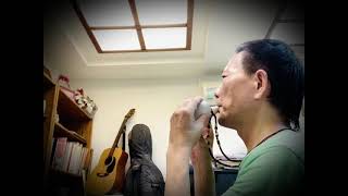 聖詩538首 我心大歡喜 主tiam身邊-海音陶笛D