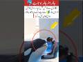 Dolphin Fish Not Loyal With Her Friends Jessica S Qawali Song Allama Urdusong Dolphin Love 