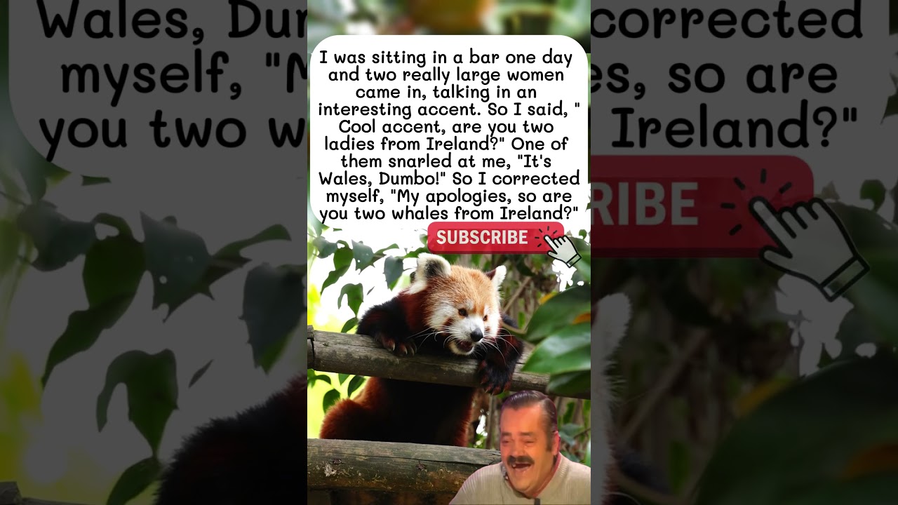 Accent Mistake Leads to Epic Insult 😅 😂