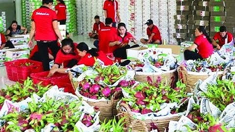 Cảnh báo lừa đảo khi xuất khẩu nông sản sang Trung Quốc