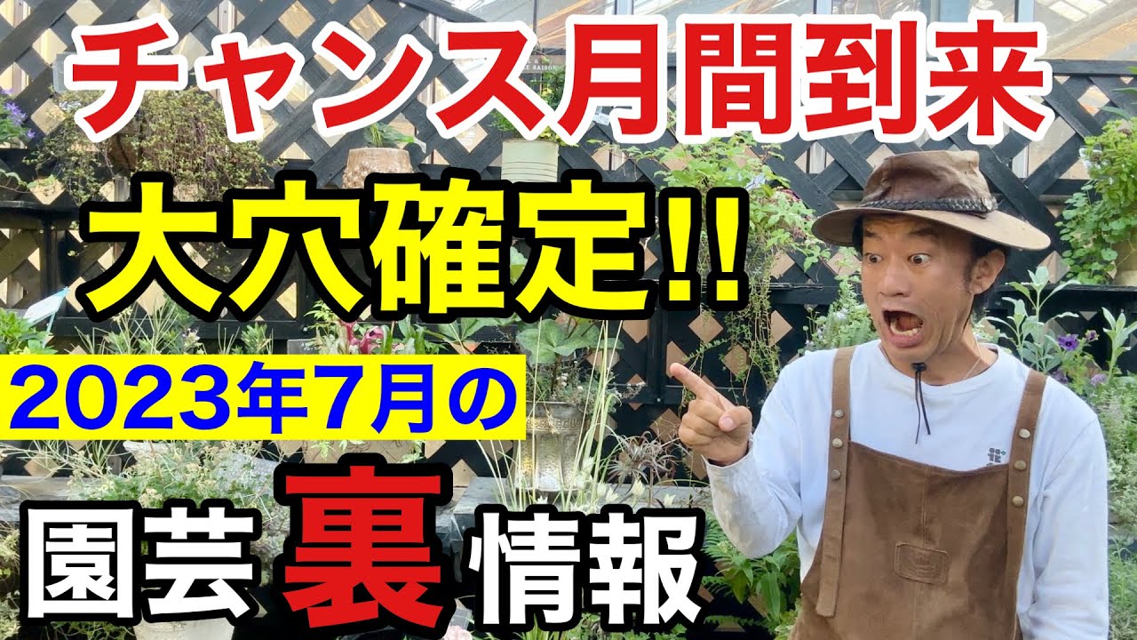 めんくん様 You won't have to buy XX anymore. [Gardening Superman Carmen-kun