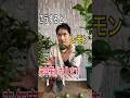 【レモンね摘果】木の負担を減らすことで来年たくさんの実がなります！