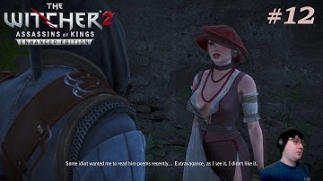 ABOUT AS SNEAKY AS A HURRICANE - Witcher 2: Assassins of Kings - Pt 12