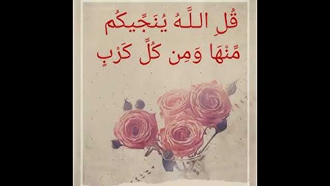 حالات وتس اب تلاوة في غاية الجمال الشيخ إدريس أبكر((قل من ينجيكم من ظلمات البر والبحر تدعونه ))