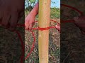 daily life hacks with rope 🪢 #shorts #viral #challenge #ytshorts