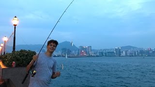 Hong Kong SABIKI Fishing pt.1