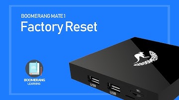 Factory Reset - Boomerang Mate 1