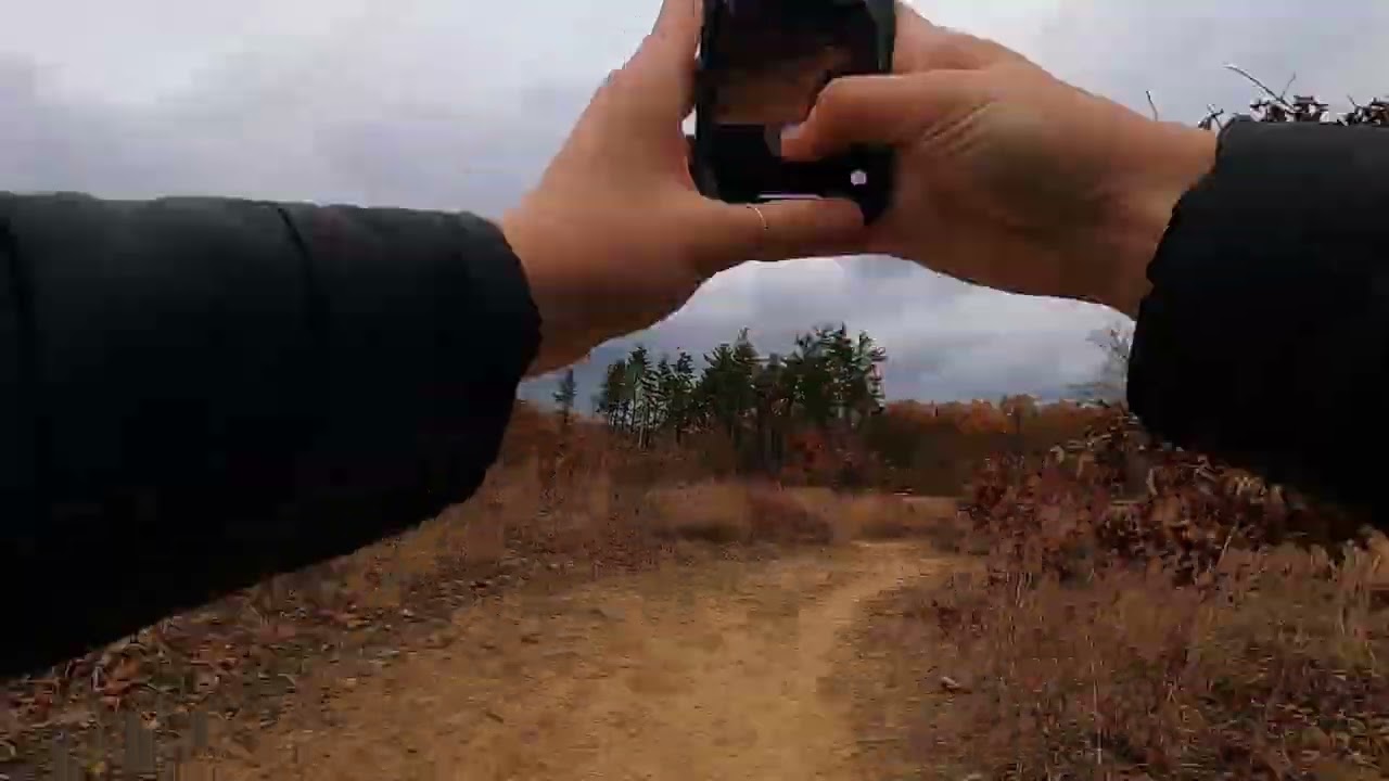 Oak Openings Preserve