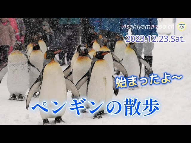 ペンギンペンギン』 ピアノランド4より - YouTube