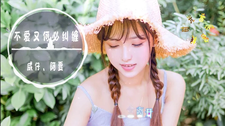 阿夏、威仔 - 不愛又何必糾纏||彼此追憶，不怕愛會終止【動態歌詞Lyrics】 - 天天要聞