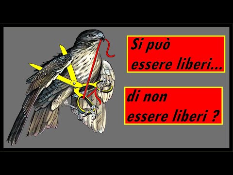 Video: Libertà Di Responsabilità