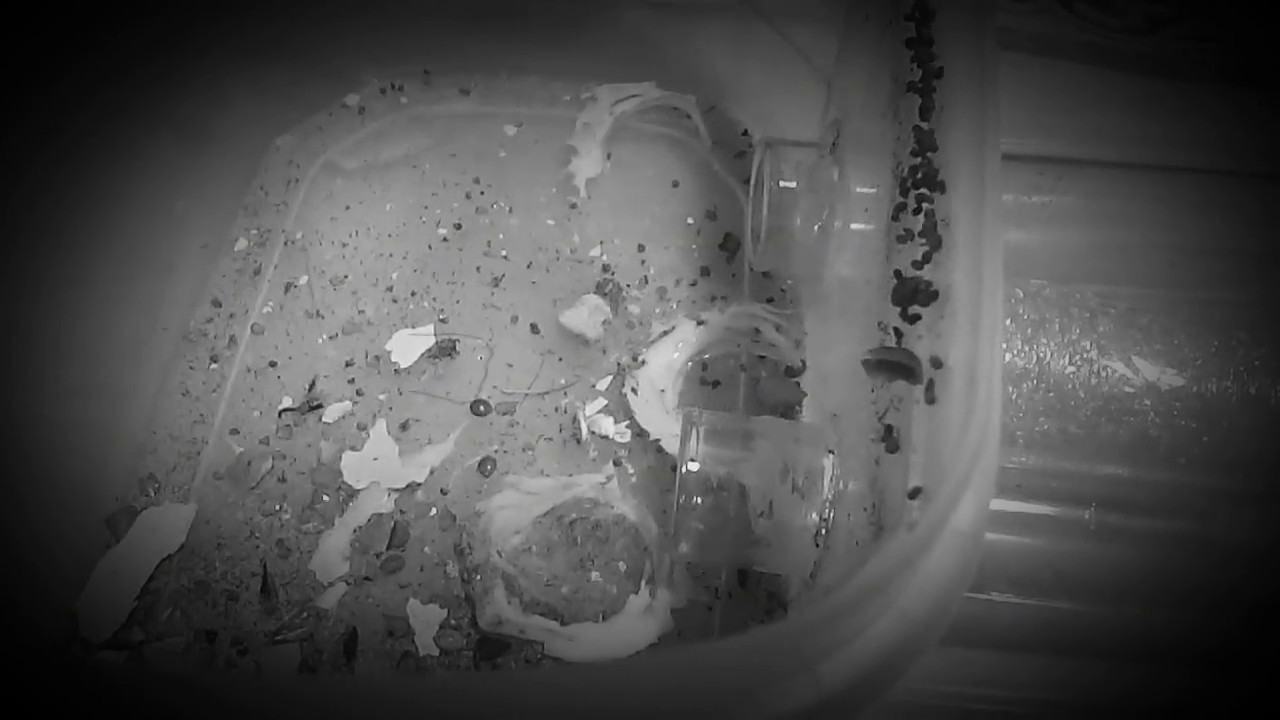 Мессор структор 15. Они ушли... - YouTube