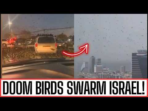 IS GOD WARNING ISRAEL? CROWS FLOOD SKIES IN TELAVIV