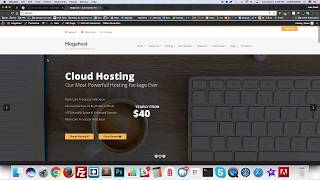 Hosting Wordpress Theme with whmcs - Megahost Install Demo Content