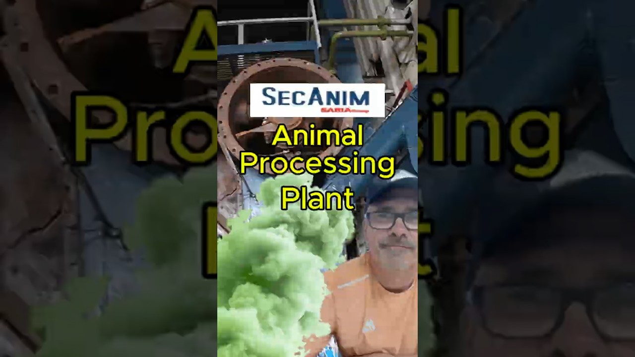 What Was Left Behind Exploring SecAnim Exeter’s Abandoned Processing Plant 