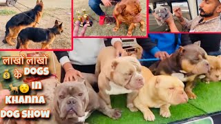लाखों लाखों 💰 के Dogs 🐕😵 in Khanna Dog show Punjab 🐶 American Bully का Special Show 😱😱