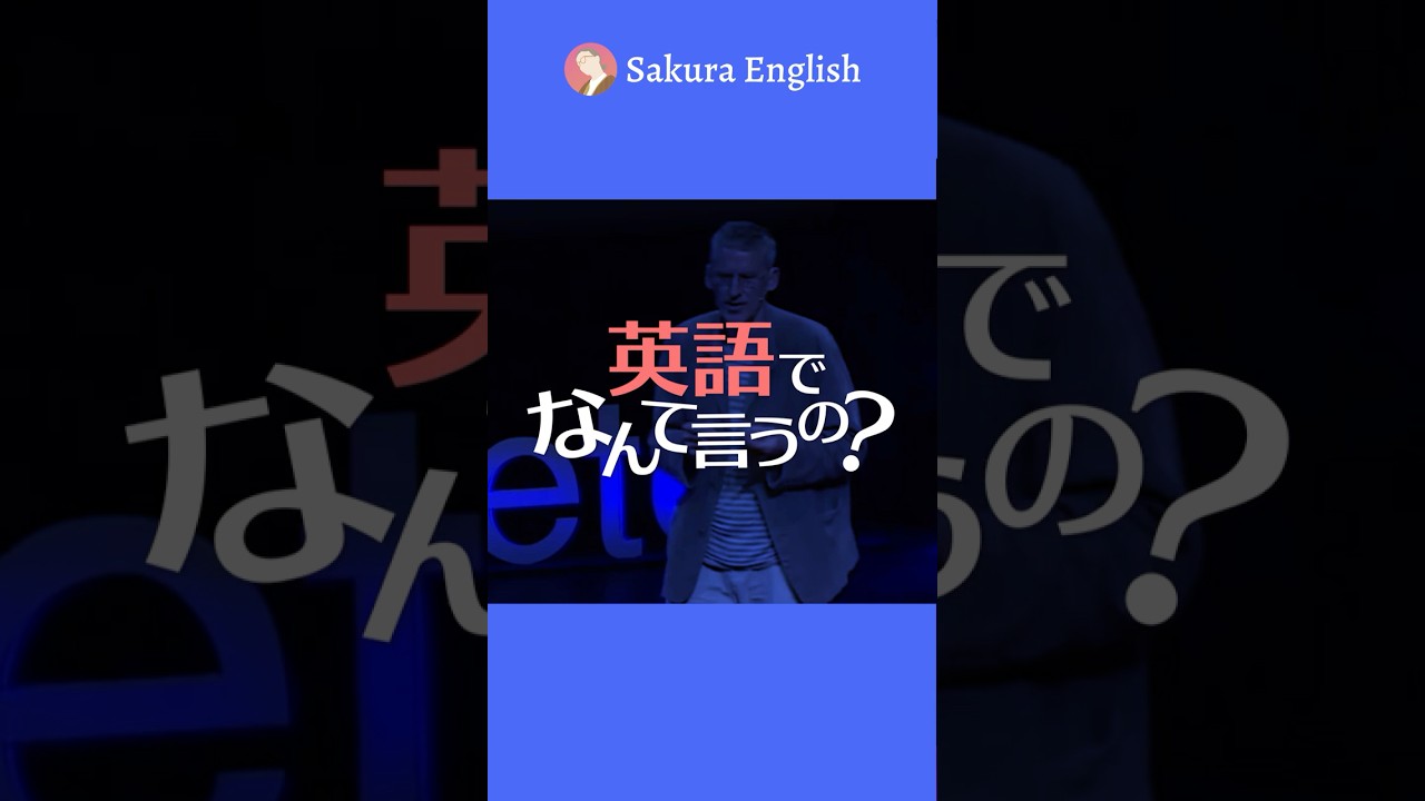 英語でなんて言うの?「彼女と話していました。」#001 #英会話 #英会話海外留学 #英語学習