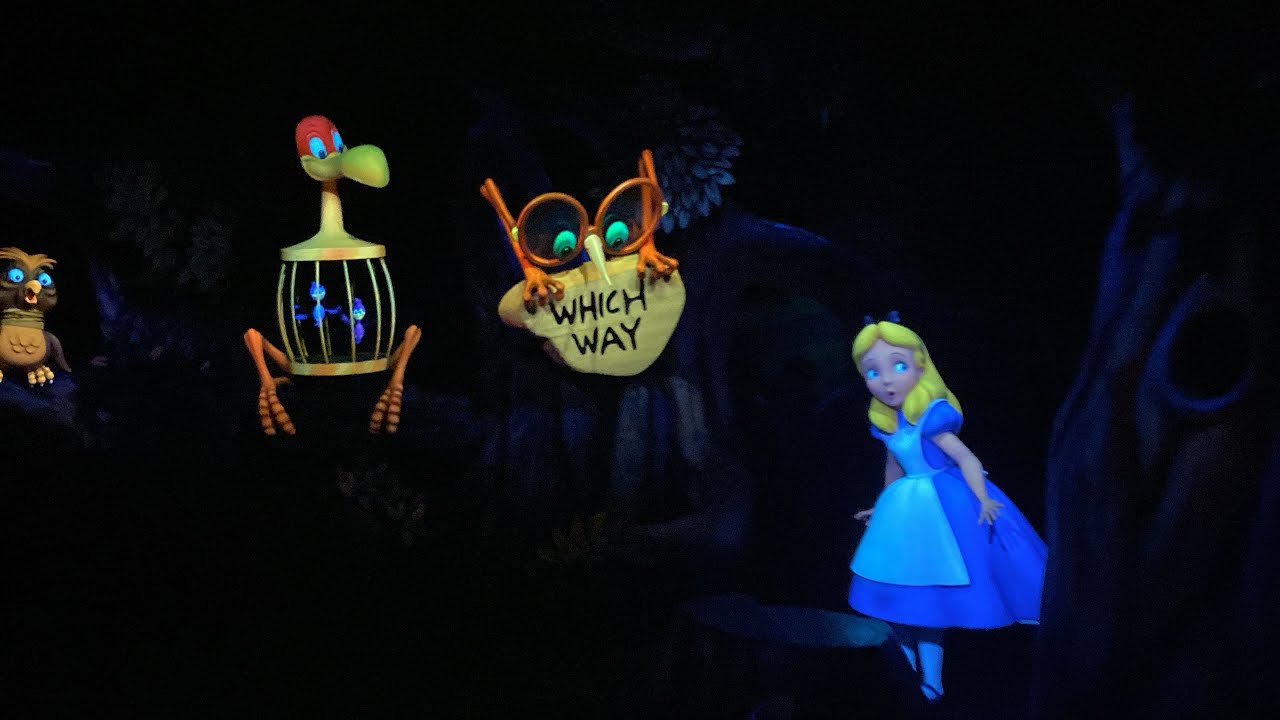 Alice in Wonderland Full Experience with Excellent Low Light