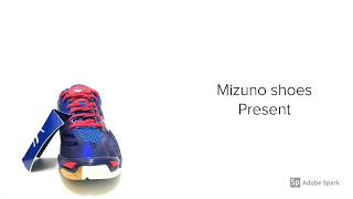 Mizuno Wave Tornado X volleyball shoes