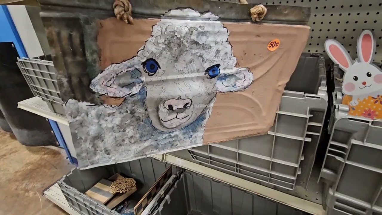 Как они вообще оказались в моей корзине? Экономия в контейнерах Goodwill.