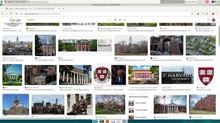 CS50W Project 0, Search