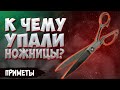 Приметы про ножницы. К чему ножницы падают? К чему найти ножницы? К чему сломались ножницы?