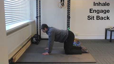 Quadruped Shoulder Stability