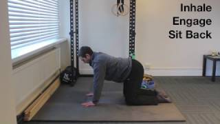 Quadruped Shoulder Stability