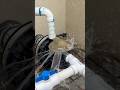 30 Second Pool Pump Replacement | Replacing 3 HP Variable Pool Motor from VARMINPOOL | #pools #diy