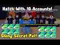 I Hatched Shiny Secret Pets Using 10 Accounts In Bubble Gum Simulator Roblox!