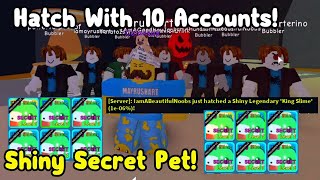 I Hatched Shiny Secret Pets Using 10 Accounts In Bubble Gum Simulator Roblox!