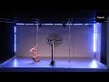 WPAC2024 ARTISTIC POLE SENIOR DOUBLES  Patrycja Kropiwnicka & Aleksandra Hilger Poland