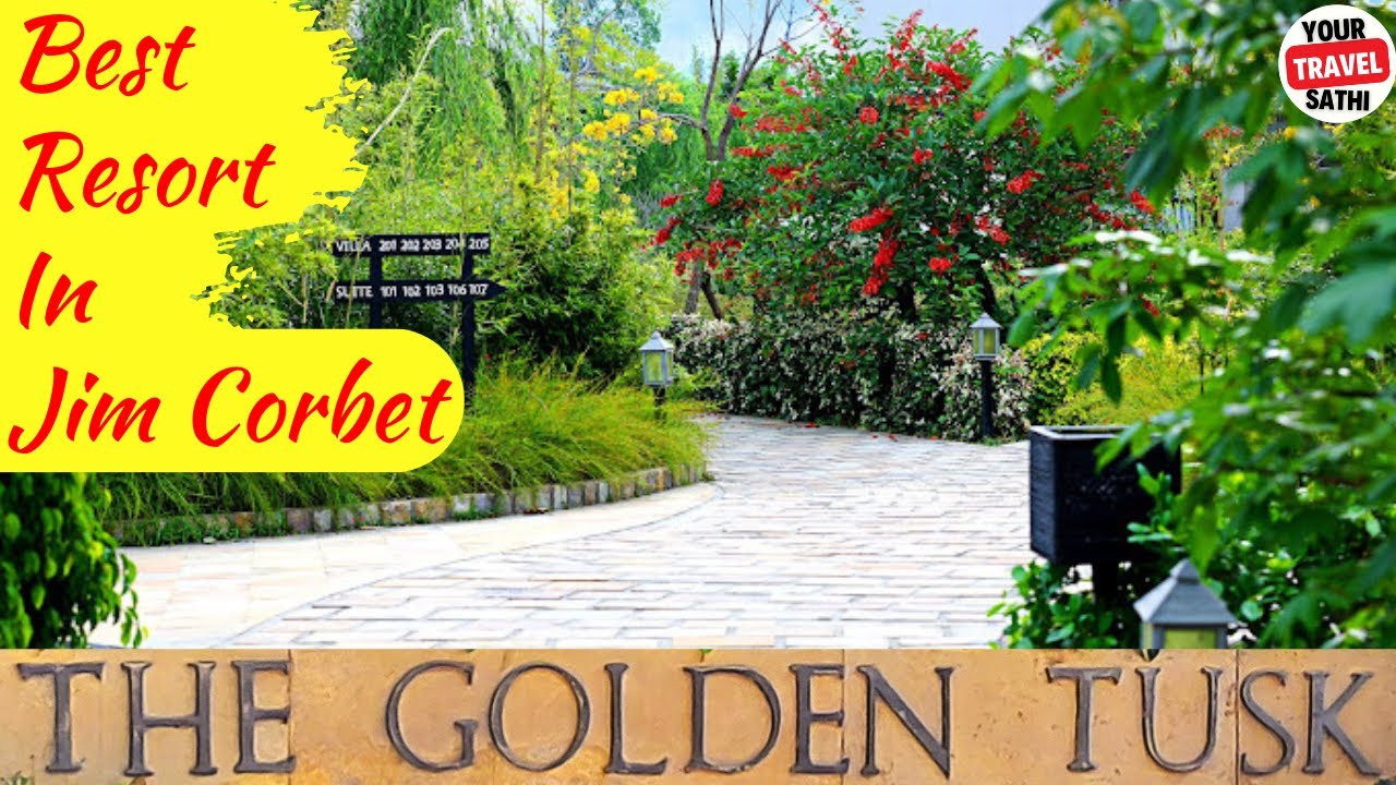 Destination Wedding In Jim Corbett | The Golden Tusk Resort Jim Corbett | Best Resort In Jim Corbett