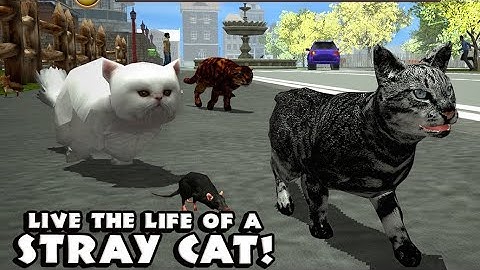 Stray Cat Simulator Gameplay (Android/IOS)