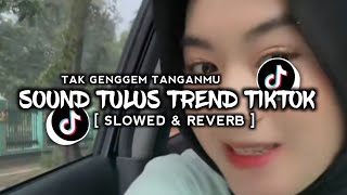 Dj Tak Genggem Tanganmu Tak Elus Pipimu Viral Tiktok ( Slowed & Reverb )
