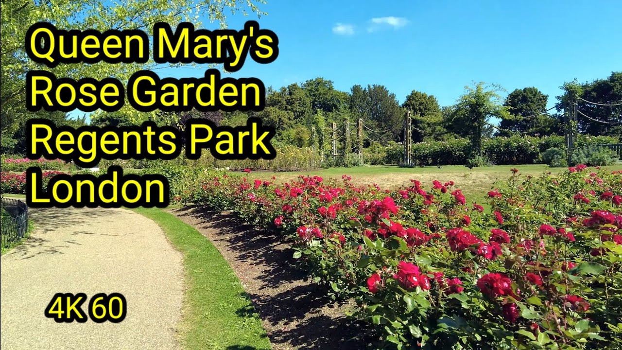 Queen Mary's Rose Garden Regents Park London YouTube