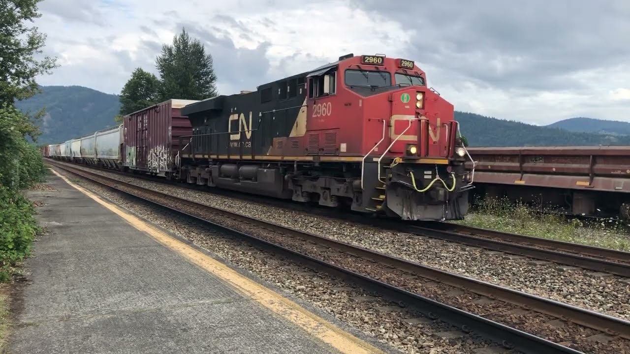 Trains BC 2025: CN 417 Mixed Train @ Abbotsford BC Canada 18AUG25 ES44AC 2960 Leading