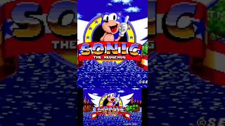 SONIC SEGA #sonic #sonicthehedgehog #sega #retrogaming #retrogames #retro