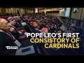 Pope Leo XIV Holds First Consistory of Cardinals | EWTN News In Depth January 9, 2026