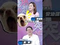 精華片段》【突發琪想】2026.06.17 柯文哲喜歡短髮妹？網友憶起逆天妖精