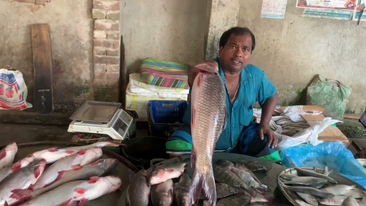 প্রতিদিন খুব ভোর থেকে সকাল বেলা গ্রামীণ মানুষ গুলো বাজারে সমাগম করে 