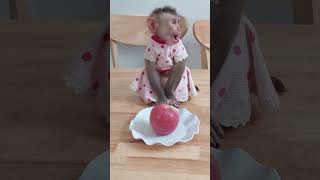 So Adorable When Molly Wait Mom Help To Cute Mango For Him