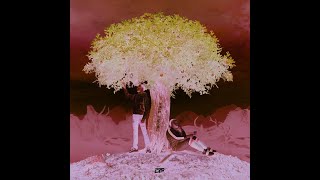 DTF - Dans Ma Fonce - Remix (par Arborescence Noble)