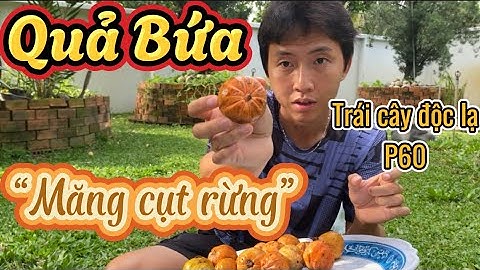 #L&F60 Quả Bứa - “Măng Cụt Rừng” | Bolong_garden | Trái cây độc lạ