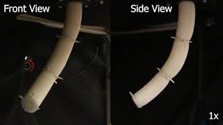 Soft elephant trunk moving dynamically through space (IEEE RoboSoft 2019) screenshot 3